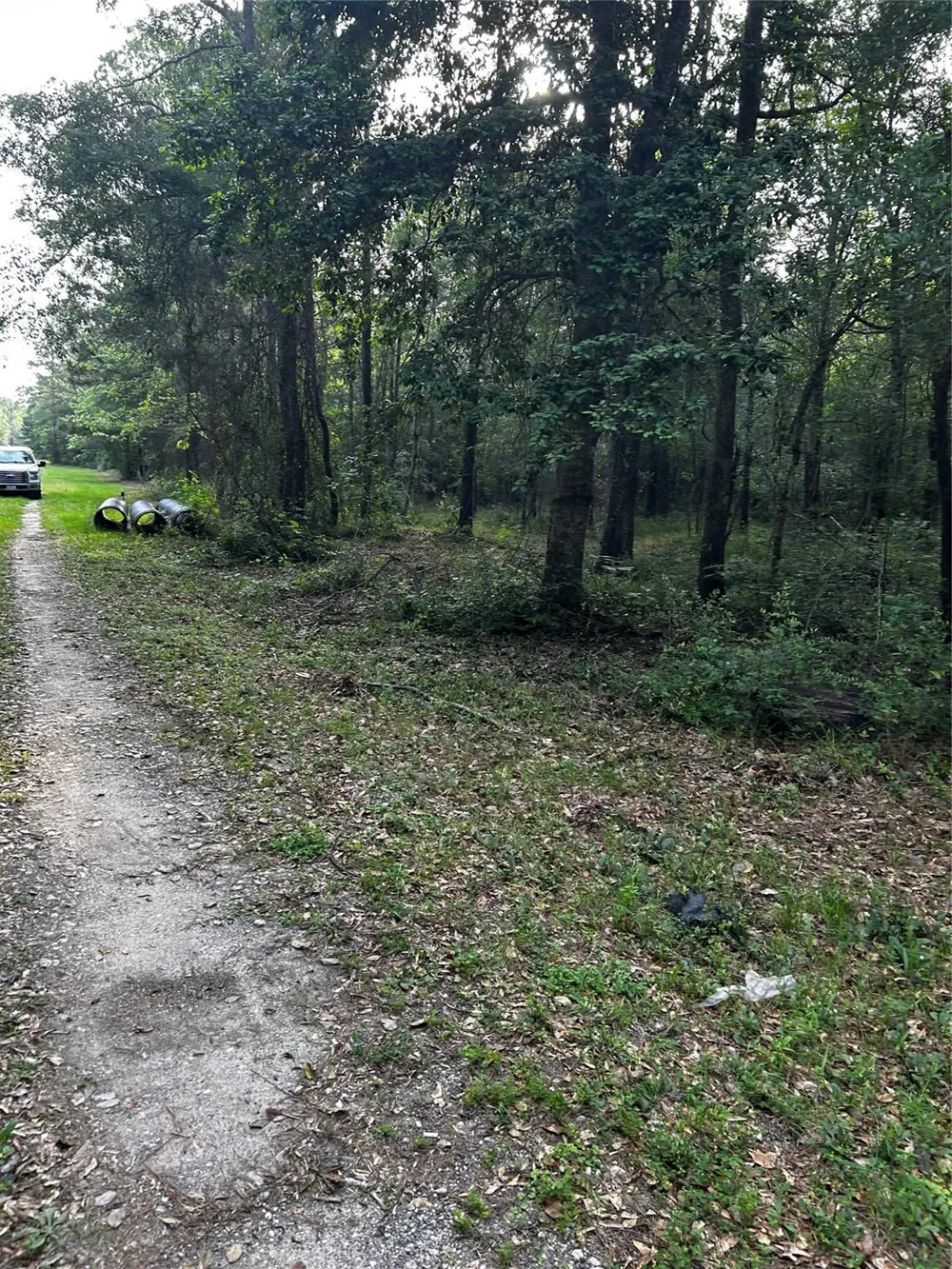 County Line Road Shepherd, TX 77371