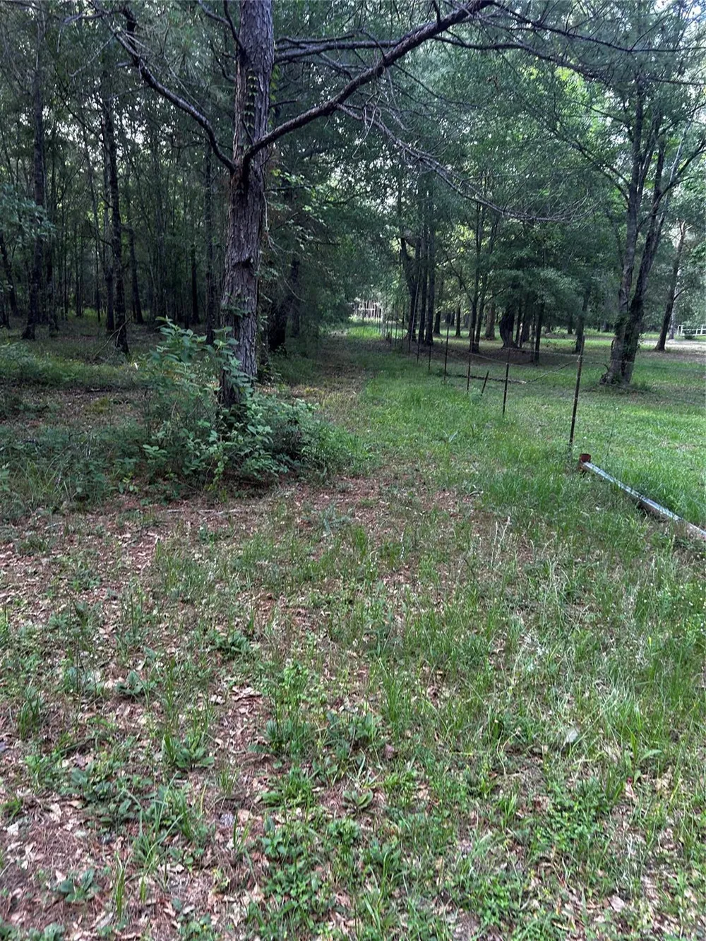 County Line Road Shepherd, TX 77371
