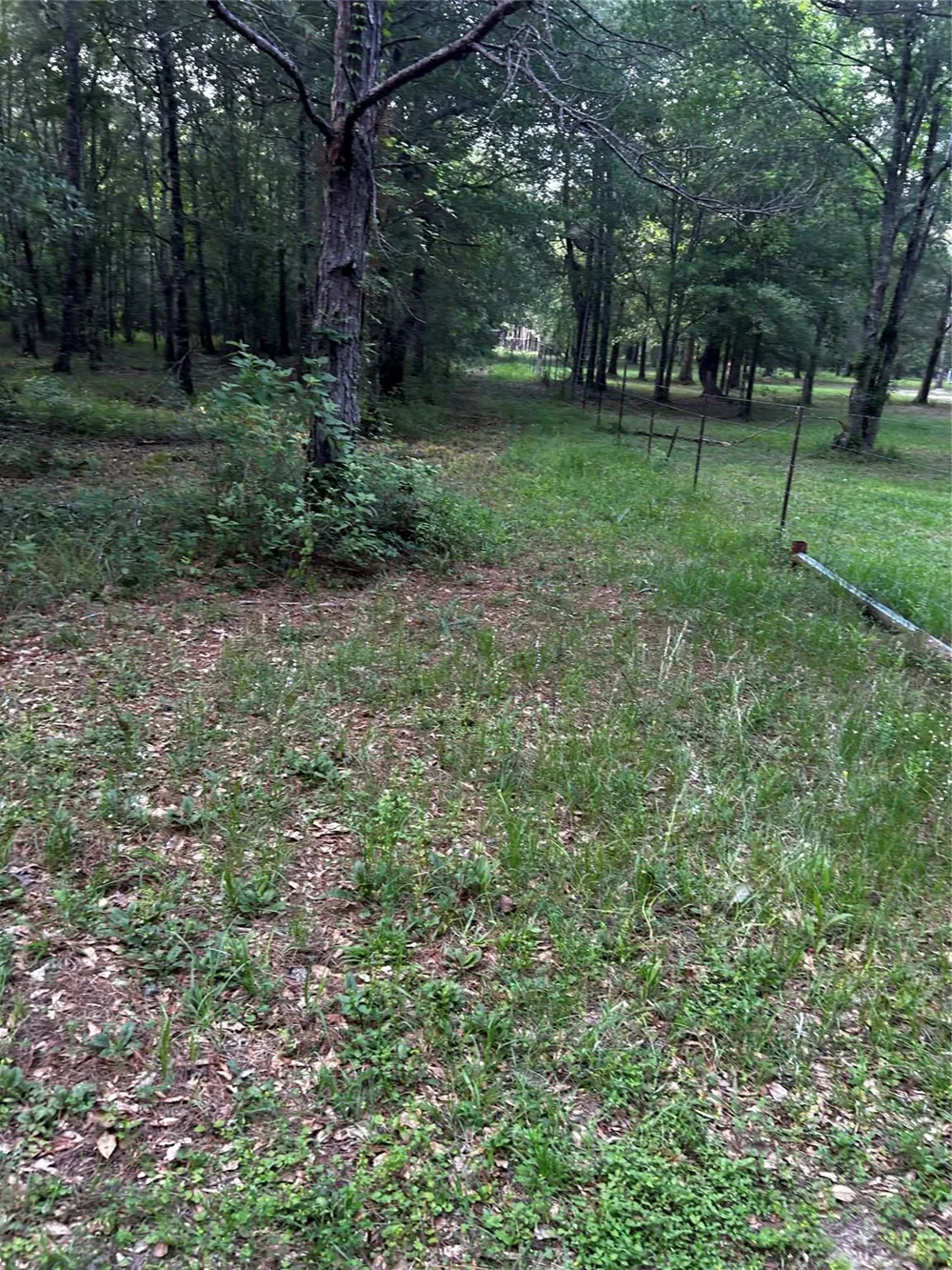 County Line Road Shepherd, TX 77371