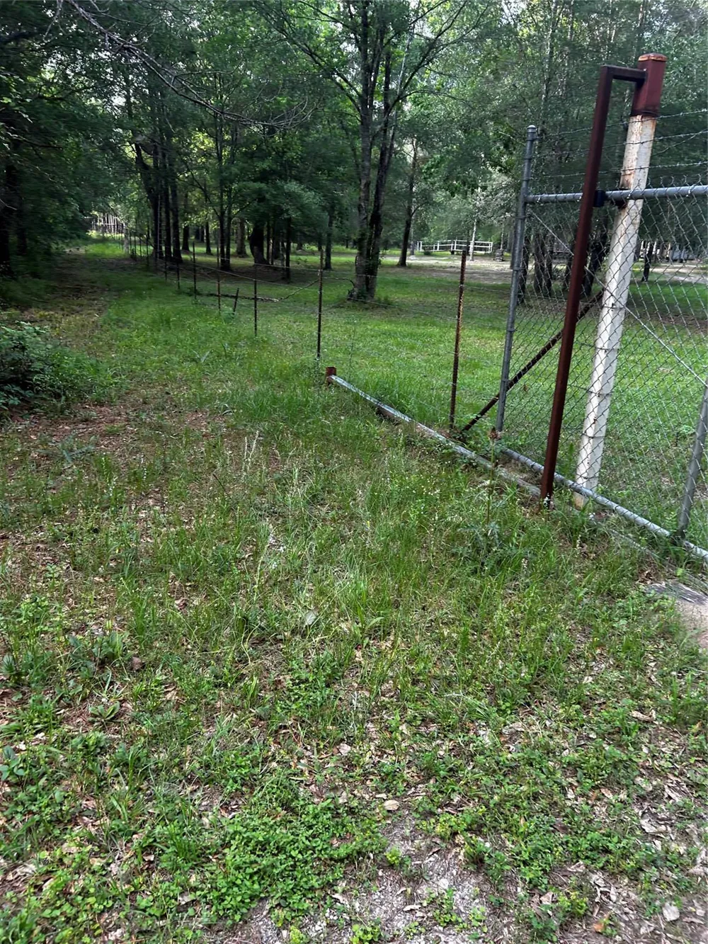 County Line Road Shepherd, TX 77371