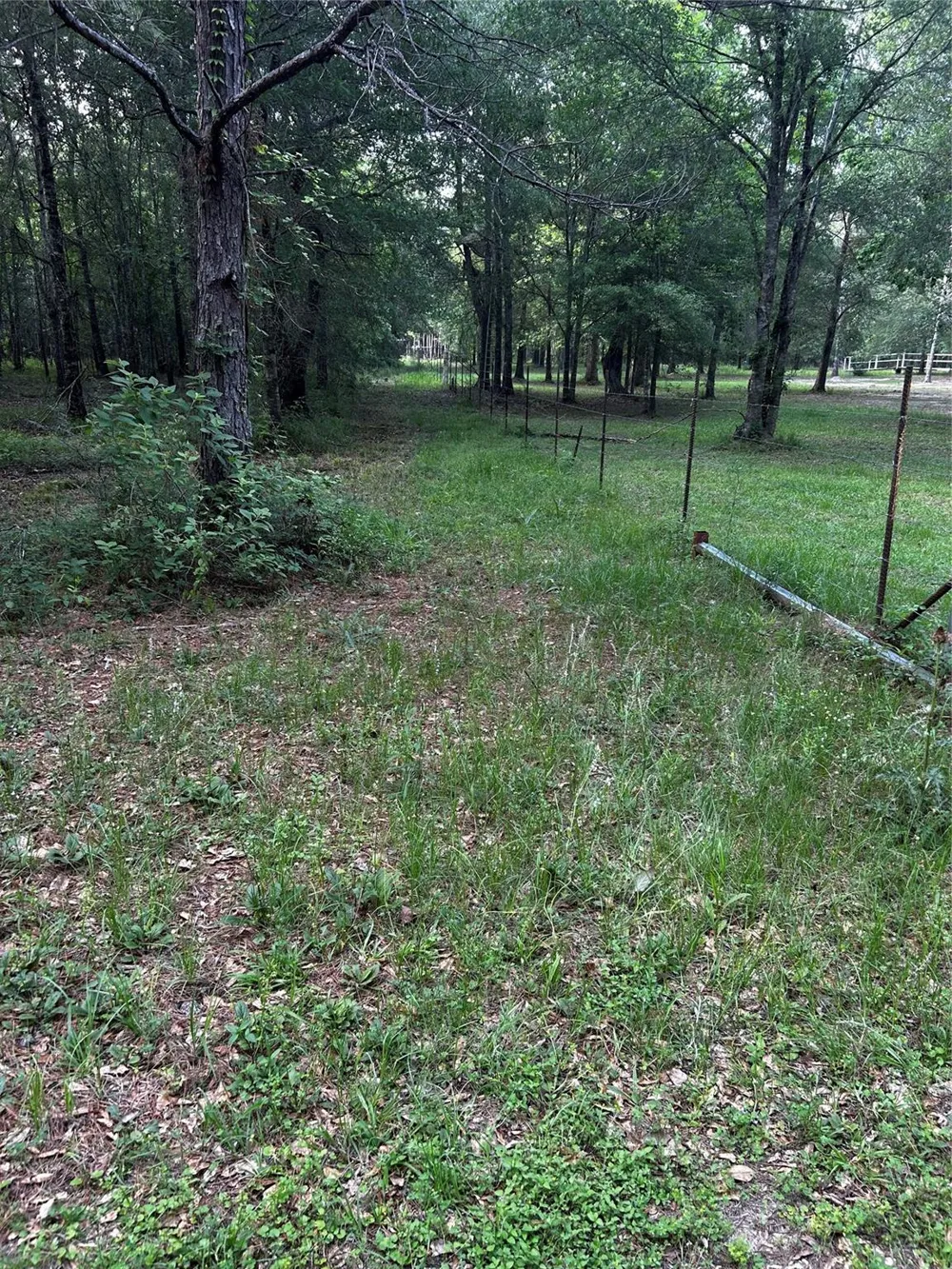 County Line Road Shepherd, TX 77371