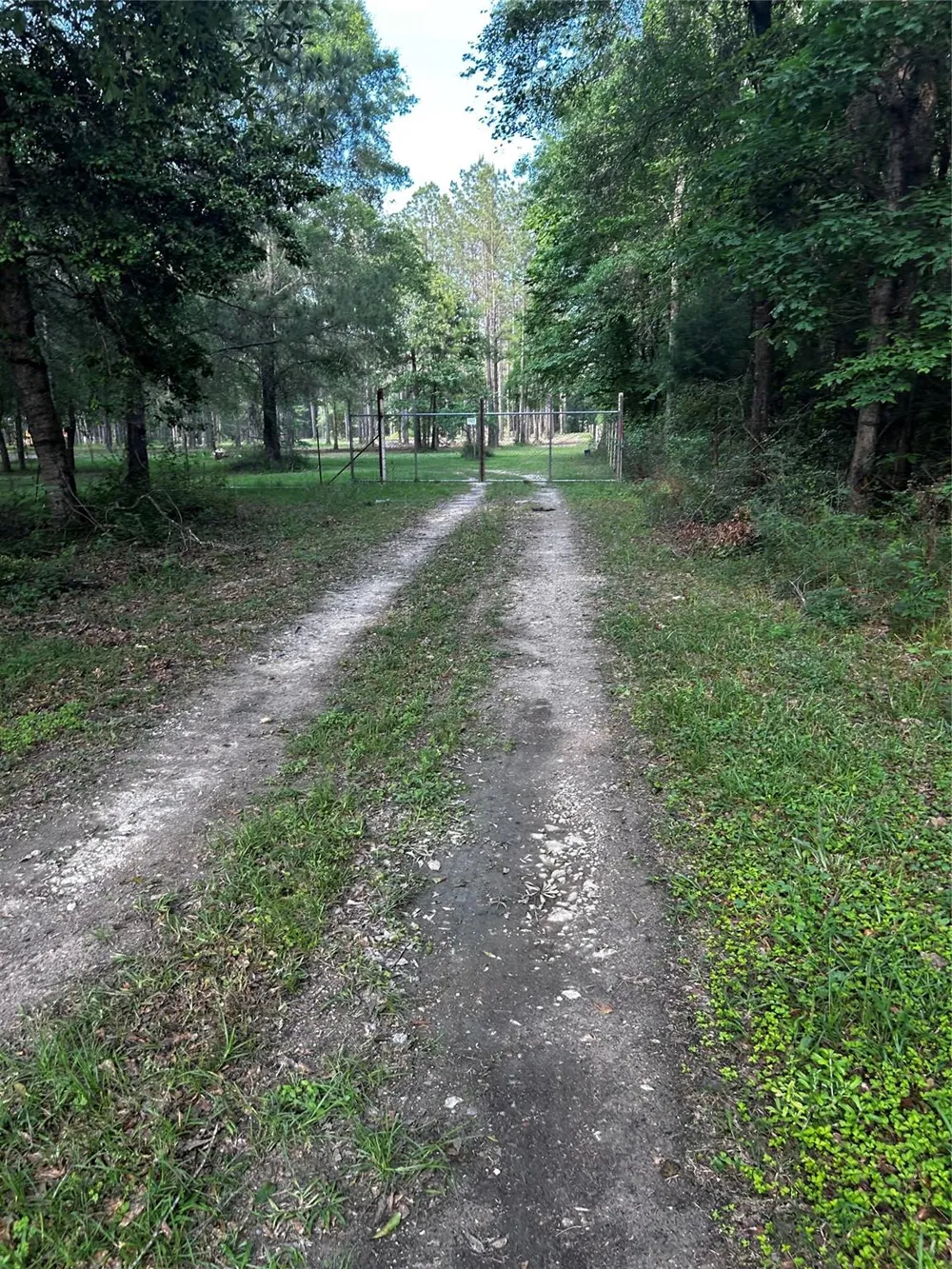 County Line Road Shepherd, TX 77371