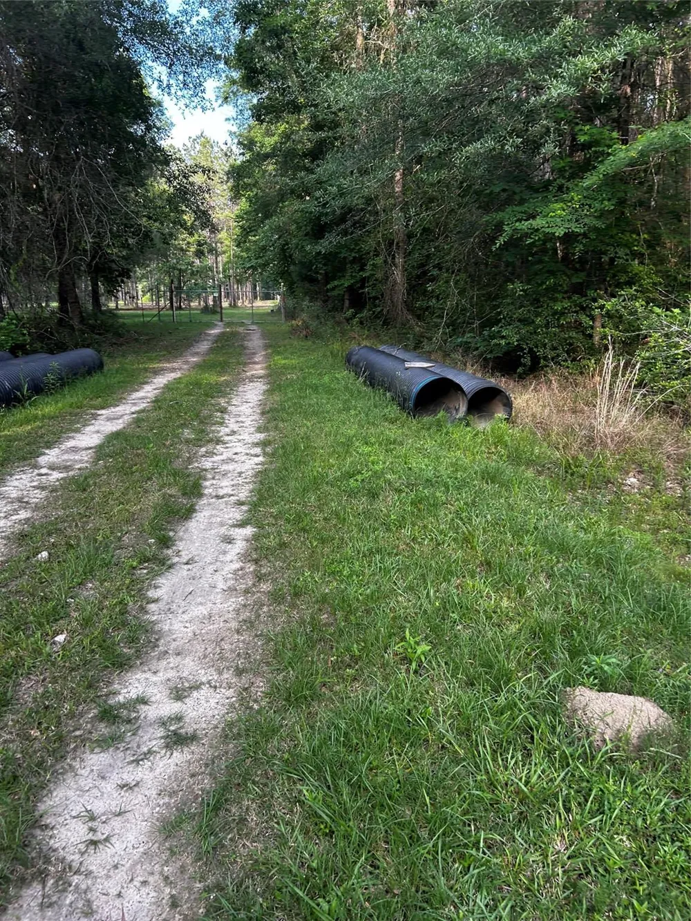 County Line Road Shepherd, TX 77371