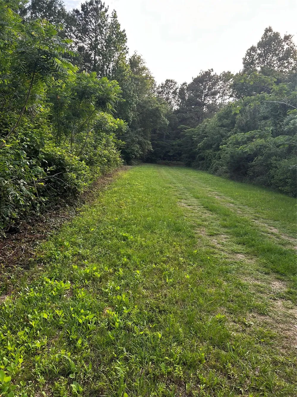 County Line Road Shepherd, TX 77371