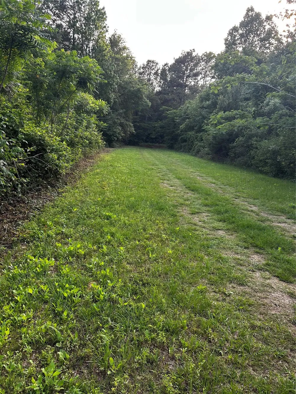 County Line Road Shepherd, TX 77371