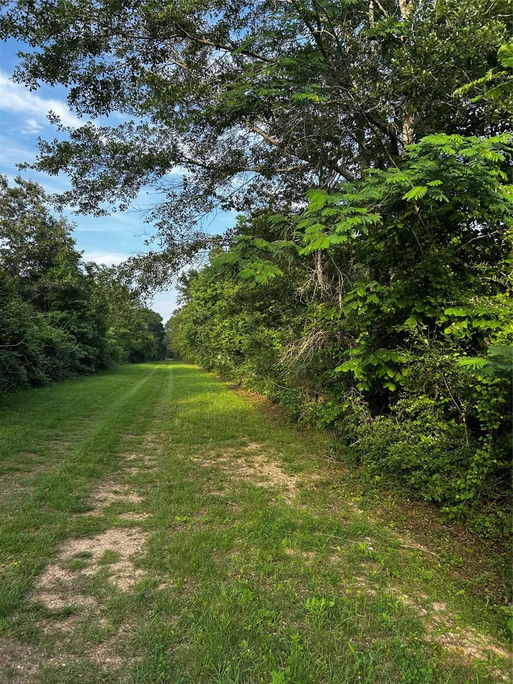County Line Road Shepherd, TX 77371