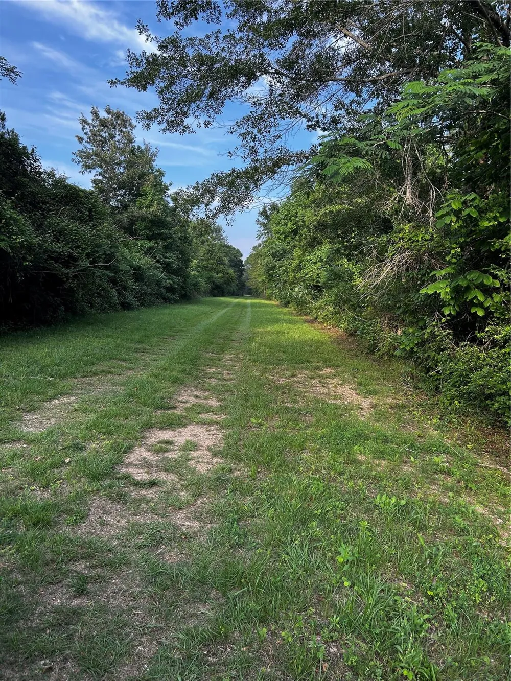 County Line Road Shepherd, TX 77371