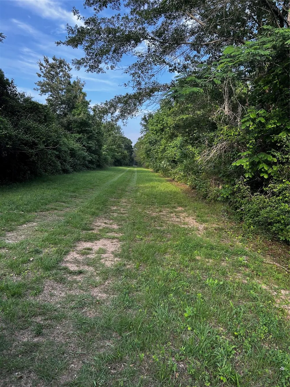 County Line Road Shepherd, TX 77371
