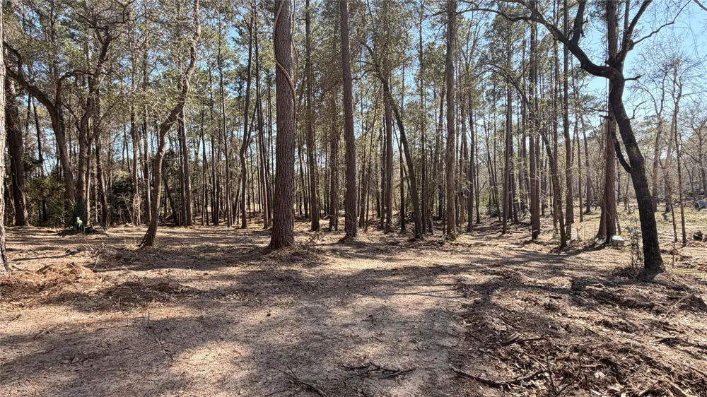 Michael Drive Magnolia, TX 77355
