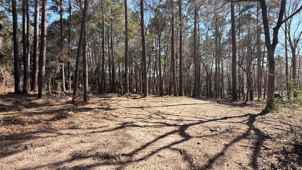 Michael Drive Magnolia, TX 77355
