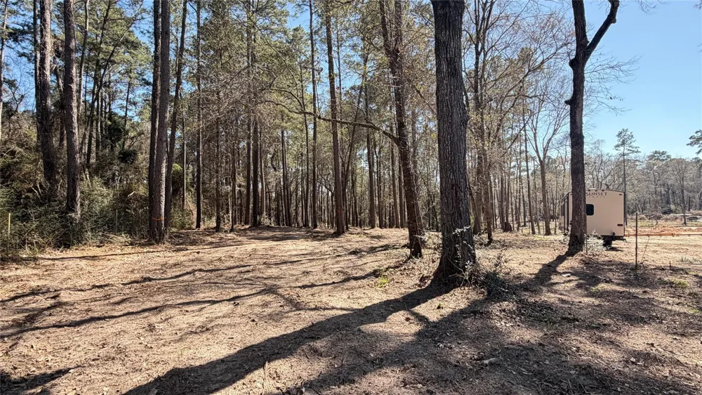 Michael Drive Magnolia, TX 77355