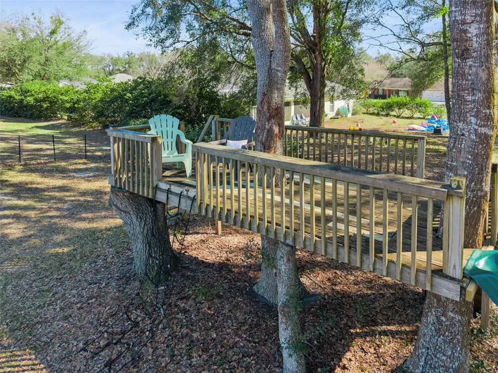 32345 WOLFS TRAIL Sorrento, FL 32776