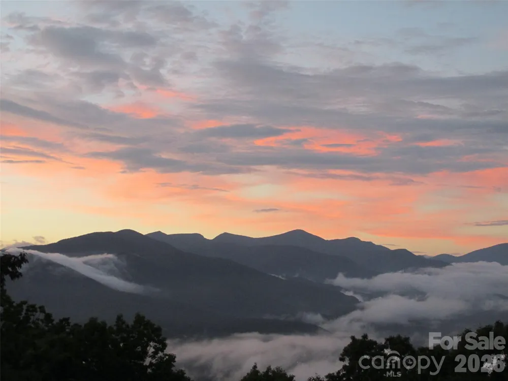 126 Wildflower Cove Drive Swannanoa, NC 28778
