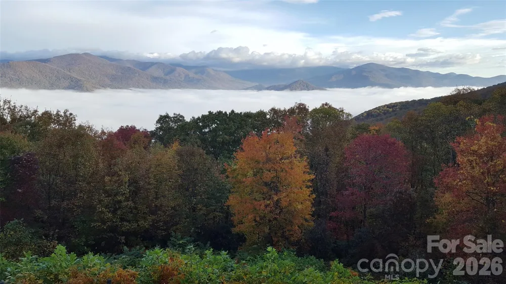 126 Wildflower Cove Drive Swannanoa, NC 28778