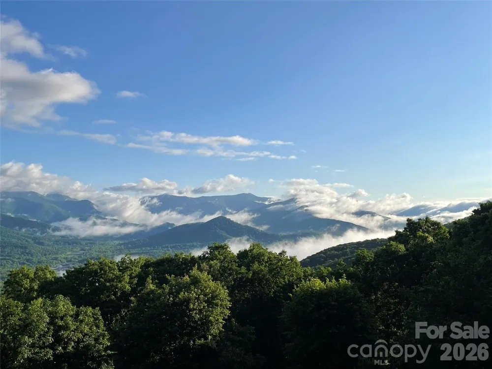 126 Wildflower Cove Drive Swannanoa, NC 28778