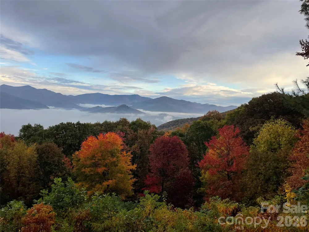 126 Wildflower Cove Drive Swannanoa, NC 28778