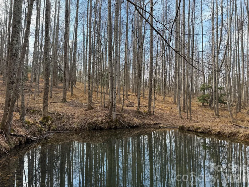 TBD W Meadows Road Moravian Falls, NC 28654