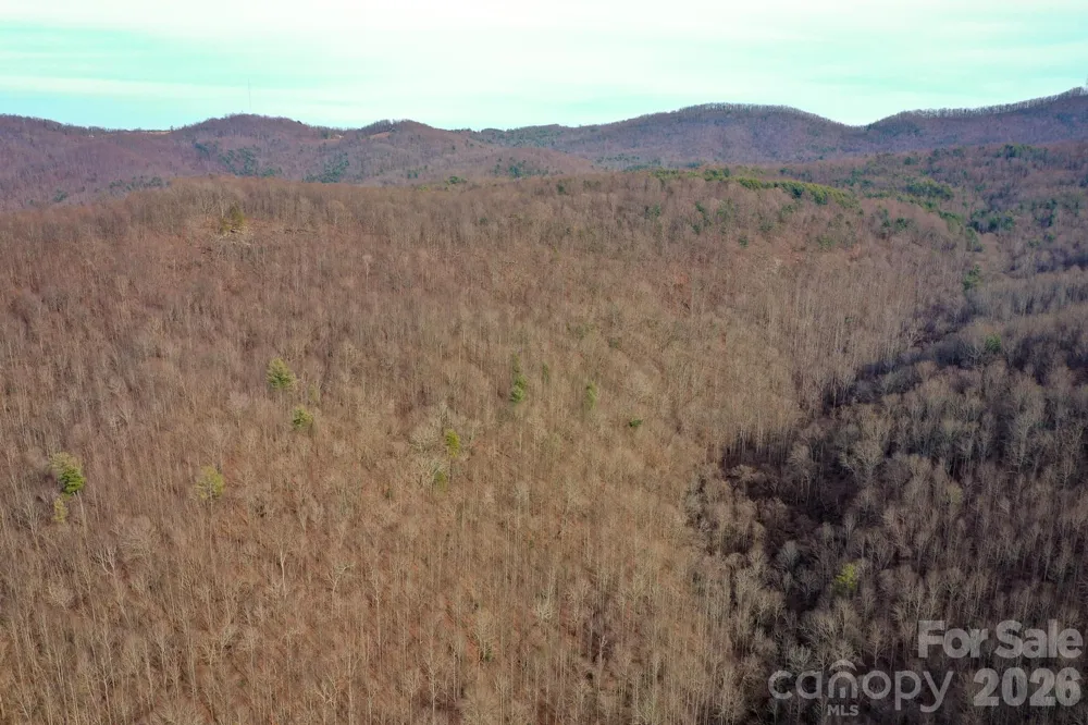 TBD W Meadows Road Moravian Falls, NC 28654