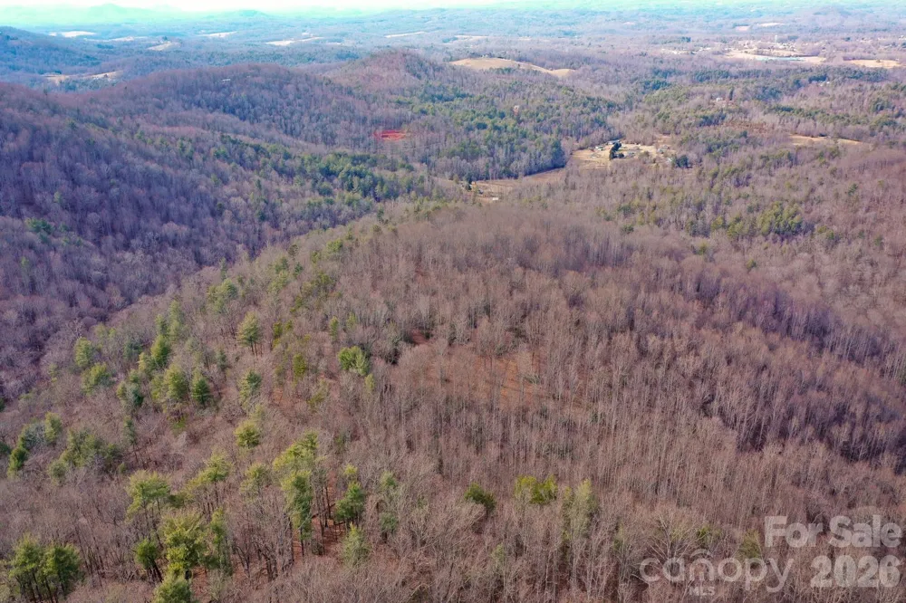 TBD W Meadows Road Moravian Falls, NC 28654