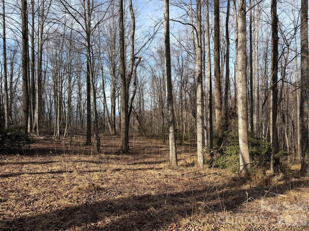 TBD W Meadows Road Moravian Falls, NC 28654