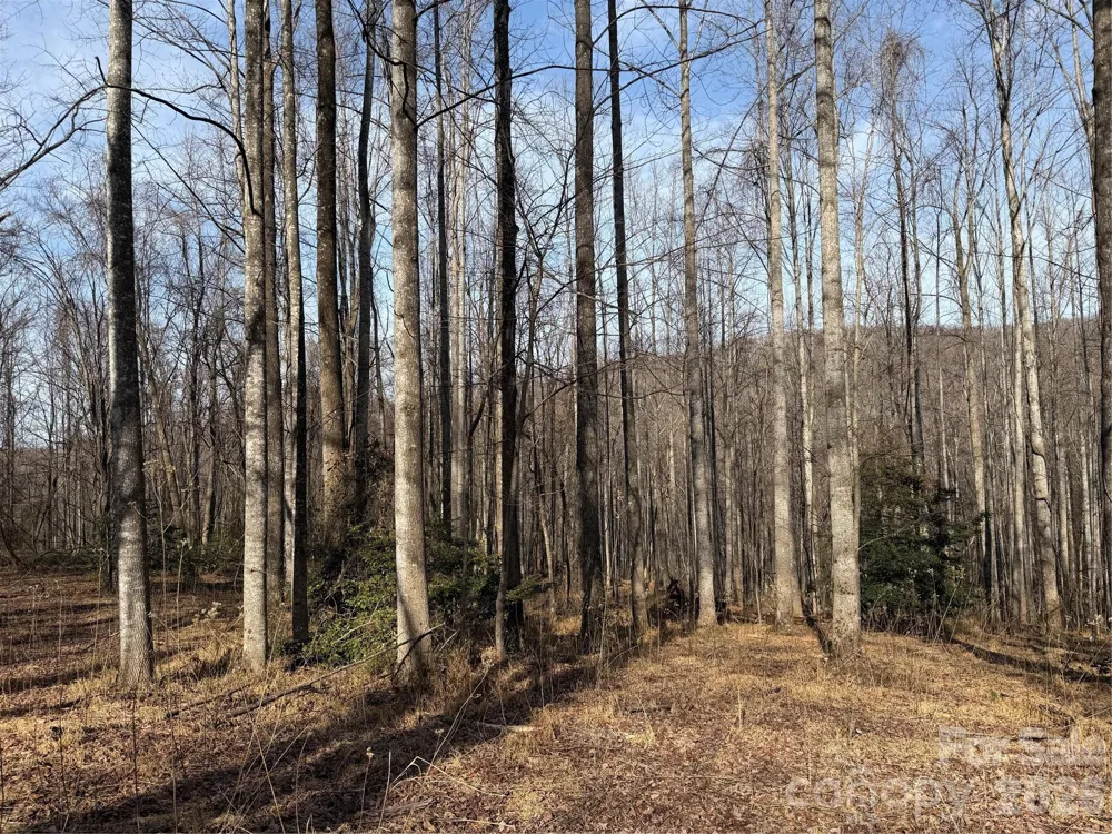 TBD W Meadows Road Moravian Falls, NC 28654