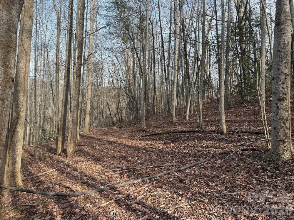 TBD W Meadows Road Moravian Falls, NC 28654