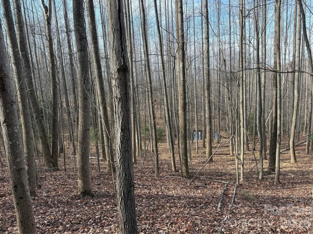 TBD W Meadows Road Moravian Falls, NC 28654