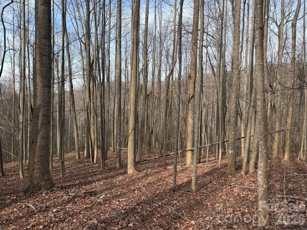 TBD W Meadows Road Moravian Falls, NC 28654