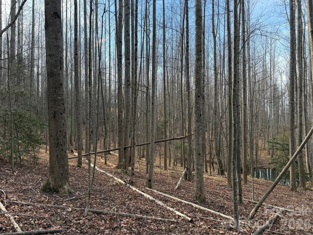 TBD W Meadows Road Moravian Falls, NC 28654