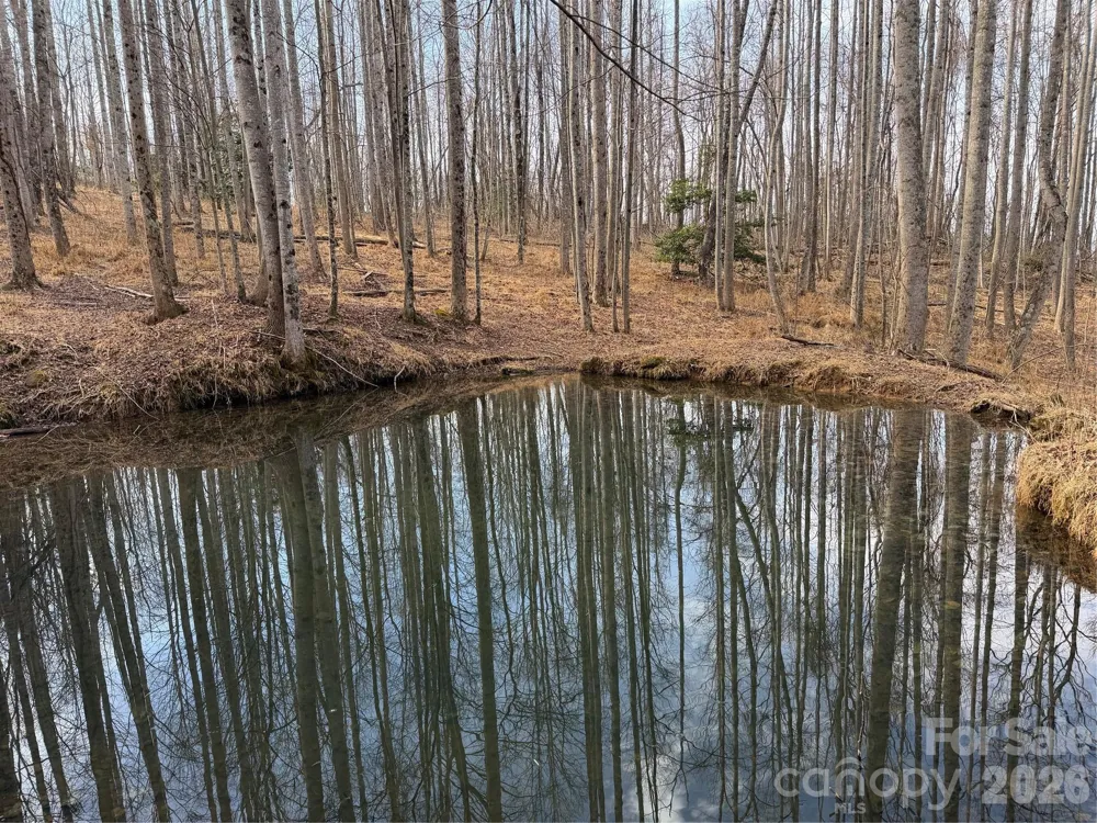TBD W Meadows Road Moravian Falls, NC 28654