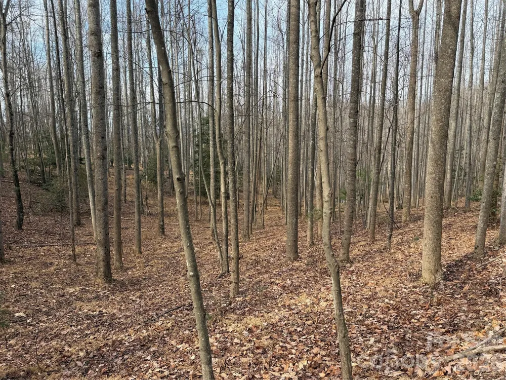 TBD W Meadows Road Moravian Falls, NC 28654