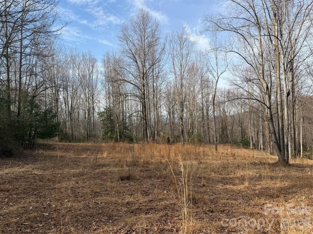 TBD W Meadows Road Moravian Falls, NC 28654