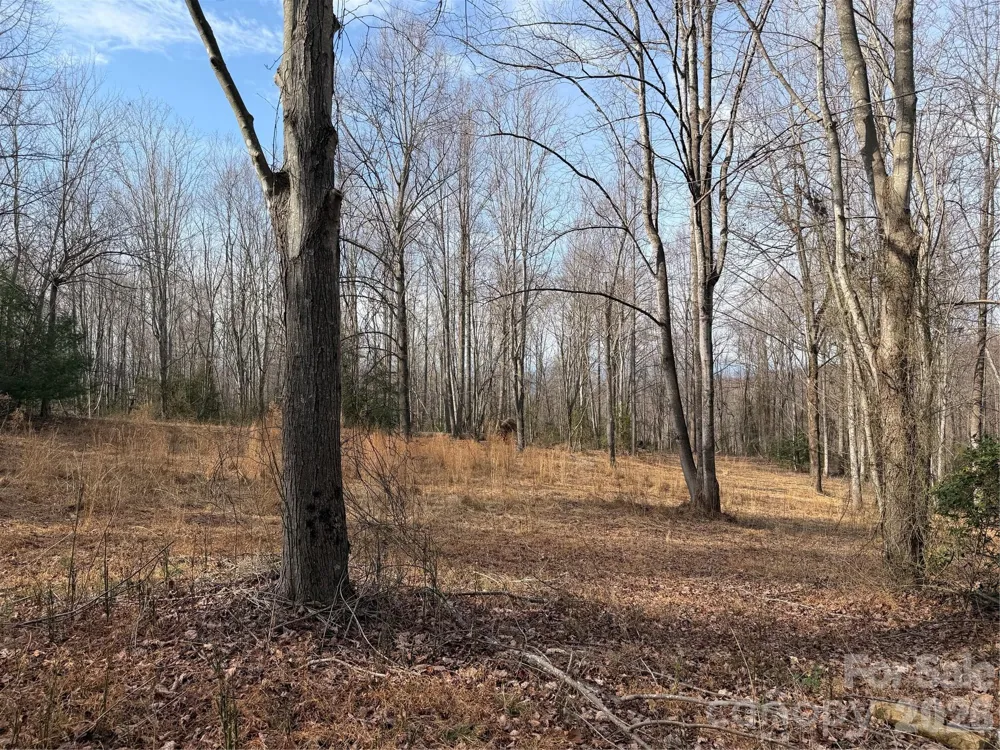 TBD W Meadows Road Moravian Falls, NC 28654