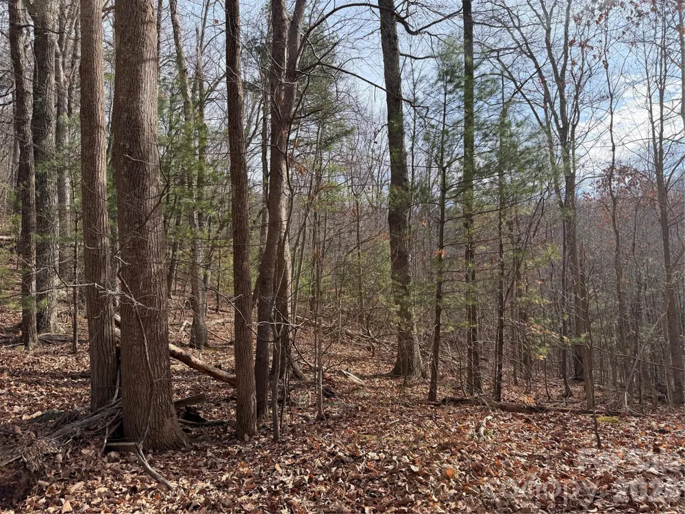 TBD W Meadows Road Moravian Falls, NC 28654