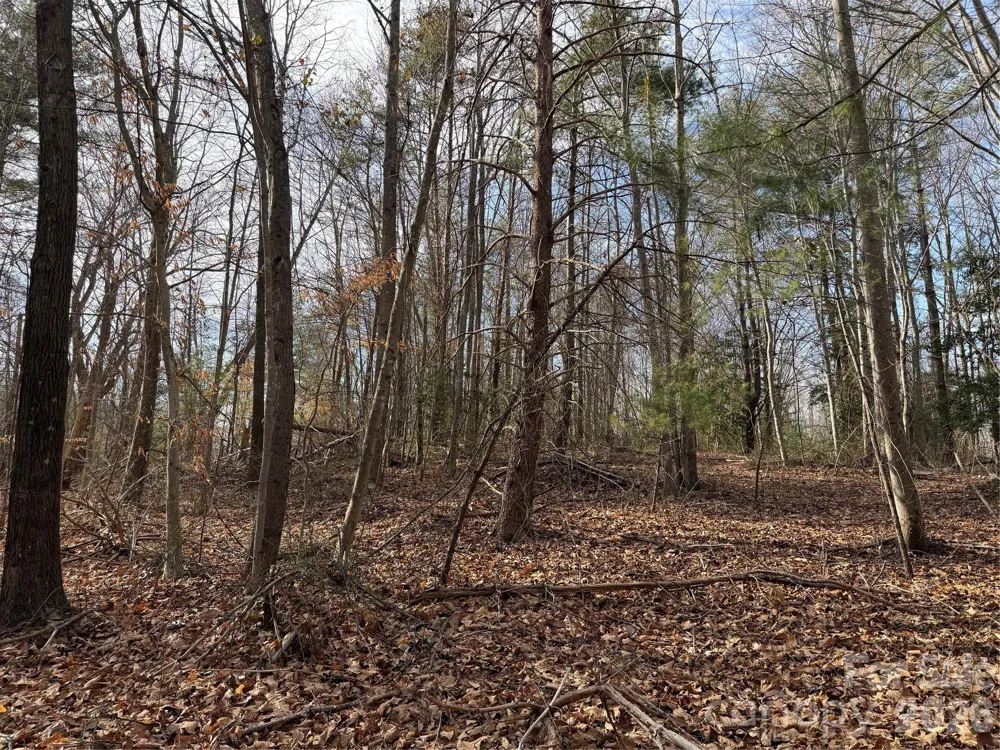 TBD W Meadows Road Moravian Falls, NC 28654