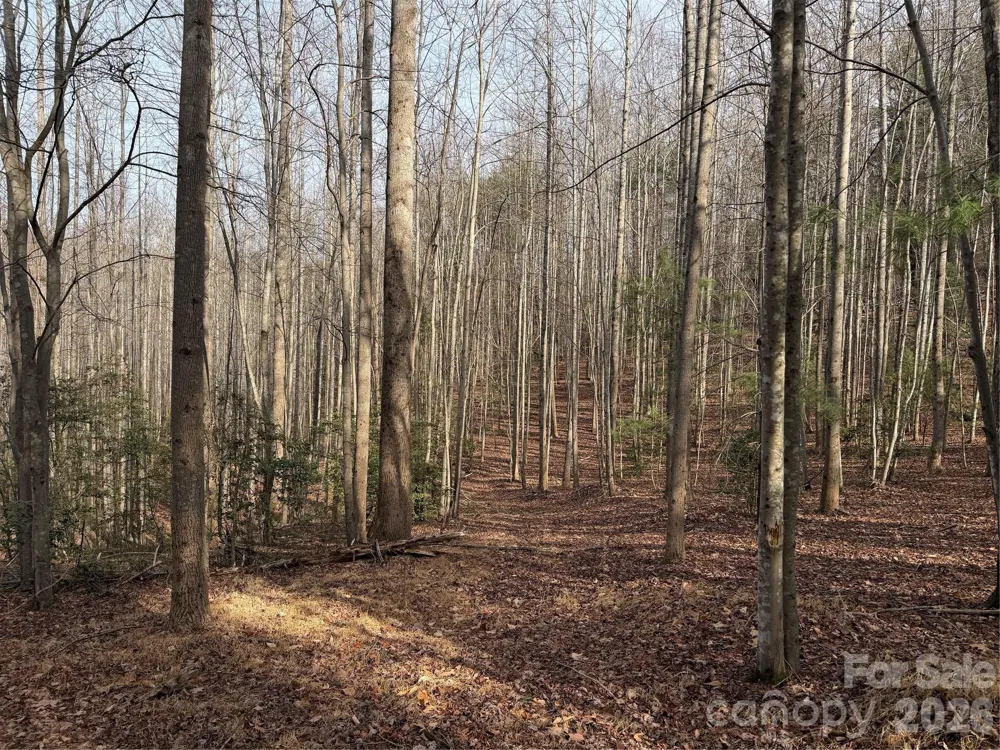 TBD W Meadows Road Moravian Falls, NC 28654