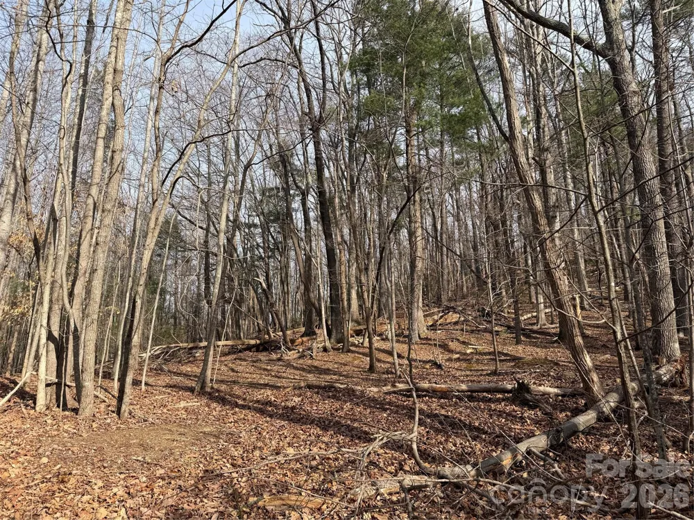 TBD W Meadows Road Moravian Falls, NC 28654
