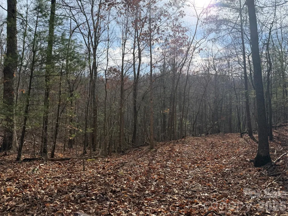 TBD W Meadows Road Moravian Falls, NC 28654