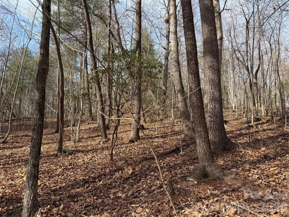 TBD W Meadows Road Moravian Falls, NC 28654