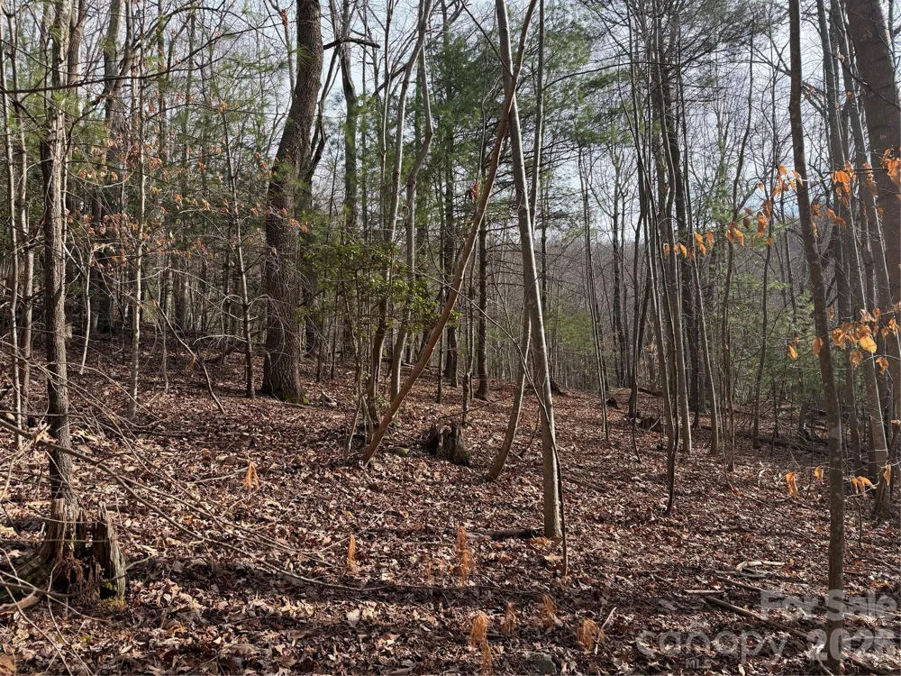 TBD W Meadows Road Moravian Falls, NC 28654