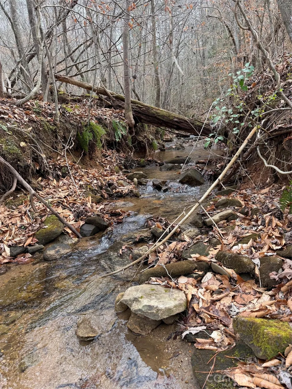 TBD W Meadows Road Moravian Falls, NC 28654