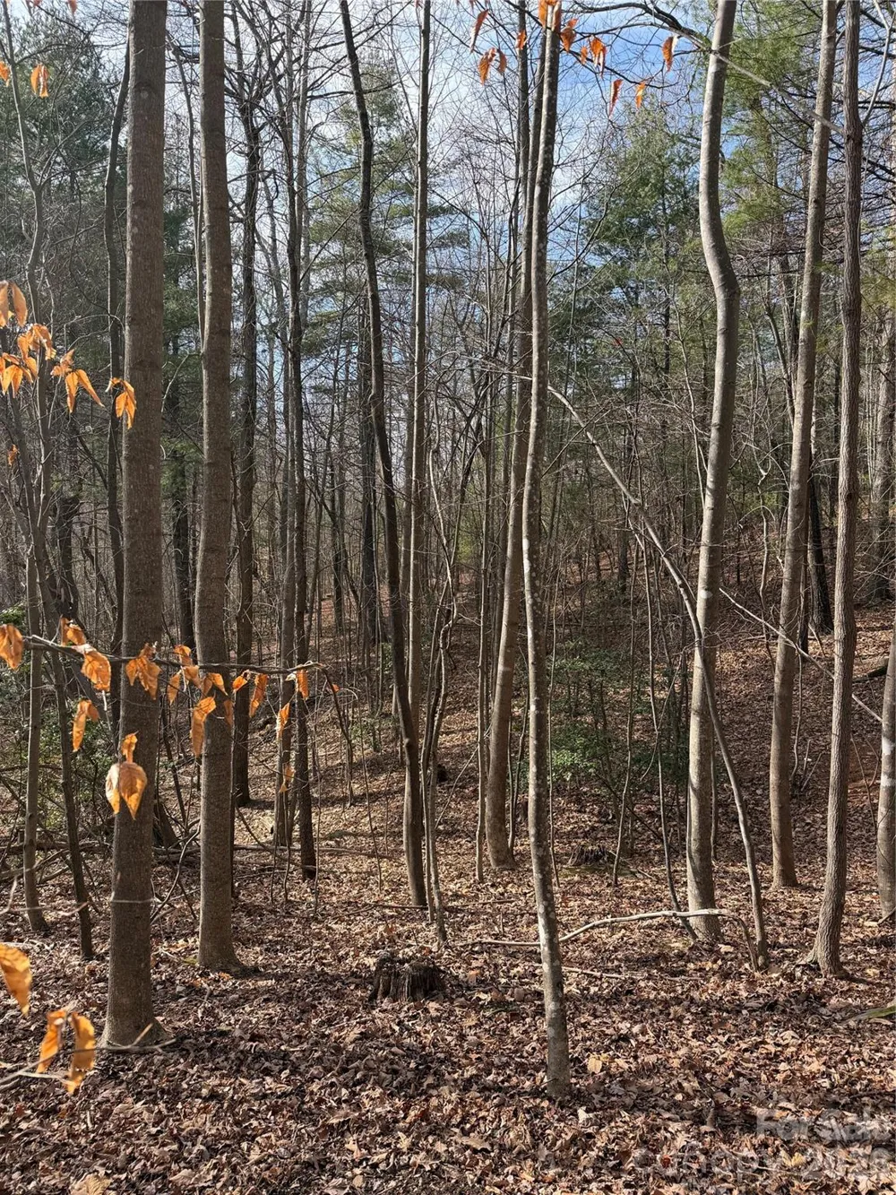 TBD W Meadows Road Moravian Falls, NC 28654
