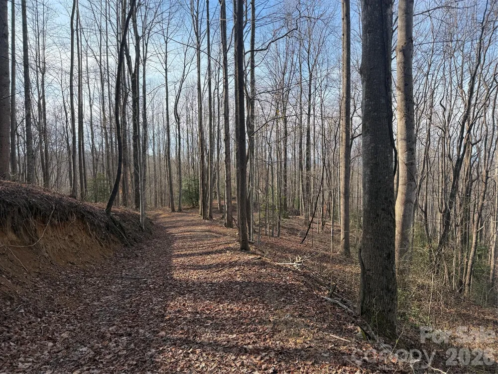 TBD W Meadows Road Moravian Falls, NC 28654