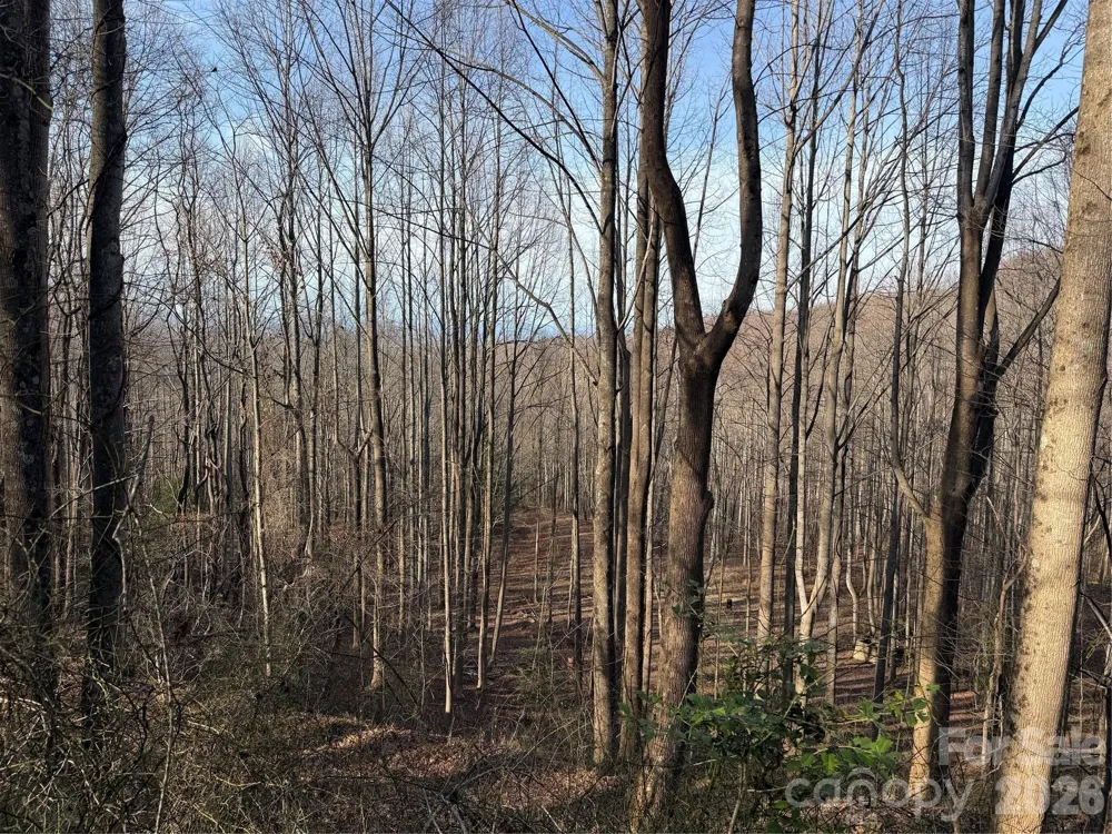 TBD W Meadows Road Moravian Falls, NC 28654