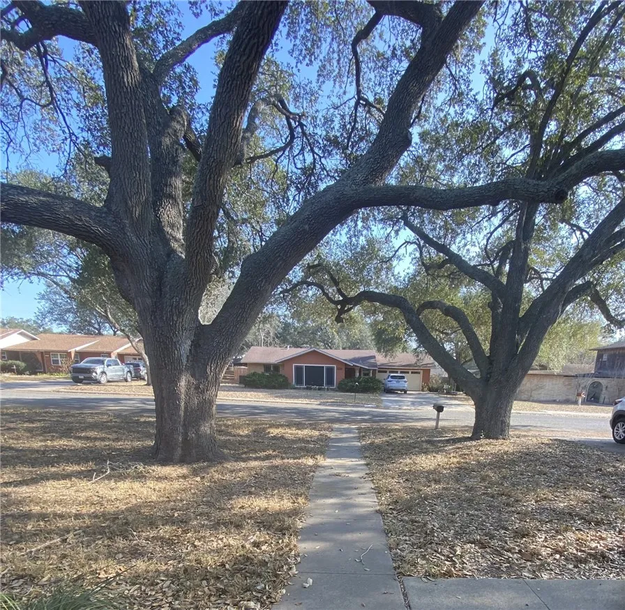 1119 Jefferson Street Alice, TX 78332