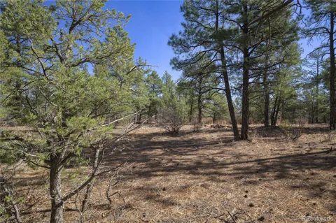 Rancho La Garita Lot 1129