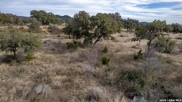 00000 Little Dry Frio RD Leakey, TX 78873
