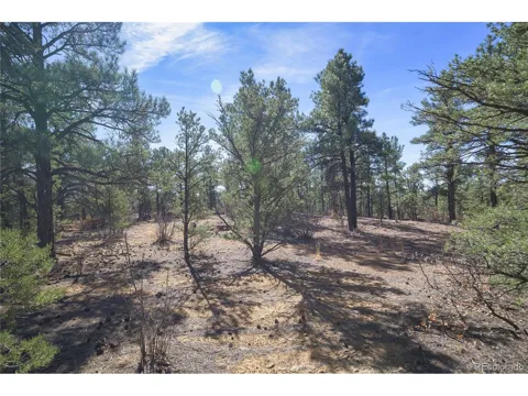 Rancho La Garita Lot 1129
