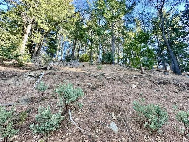 Green Craig Idyllwild, CA 92549