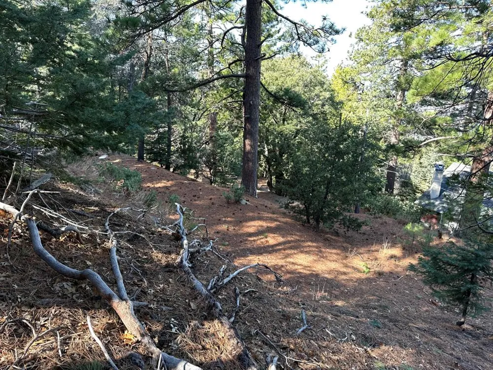 Green Craig Idyllwild, CA 92549